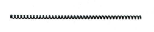 Pardini Bolt Recoil Spring SP / HP 